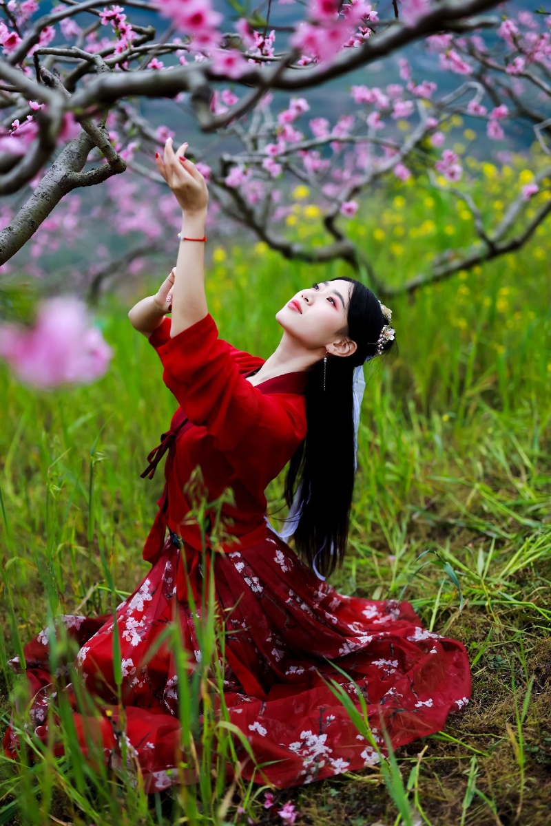 人面桃花相映红