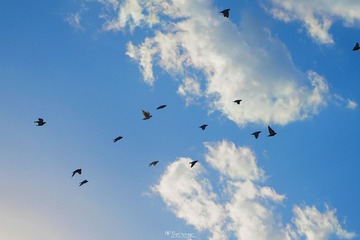 F8860A5E-E3FB-4AD1-9F0D-517B7D7358CB/L0/001