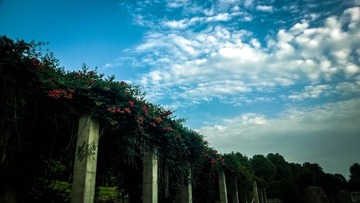 WP_20140527_011