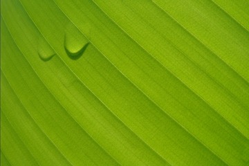 1061804