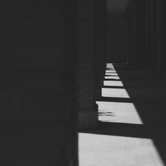 DSC_7096-2