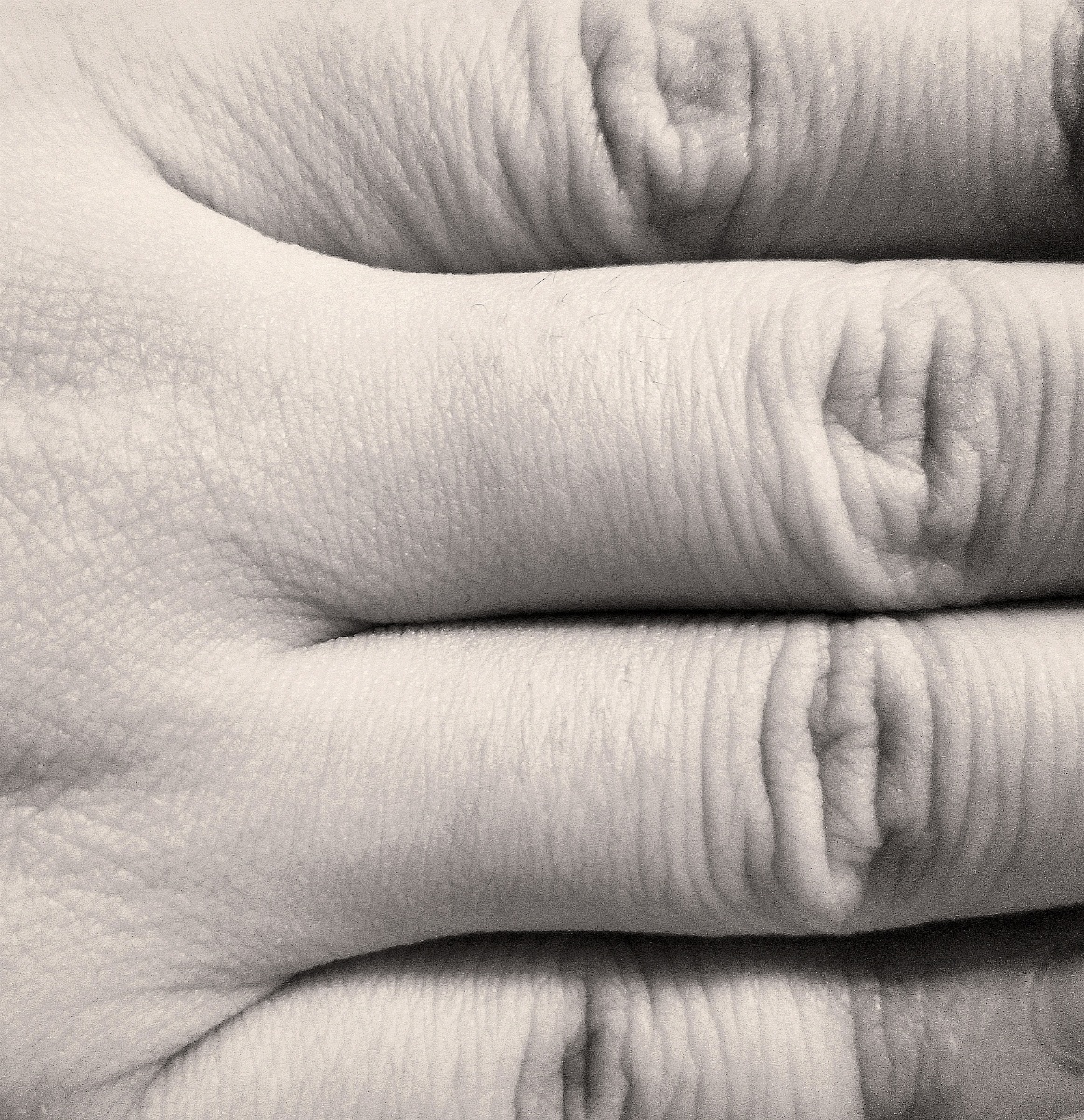 老去的年轮 褶皱的手指