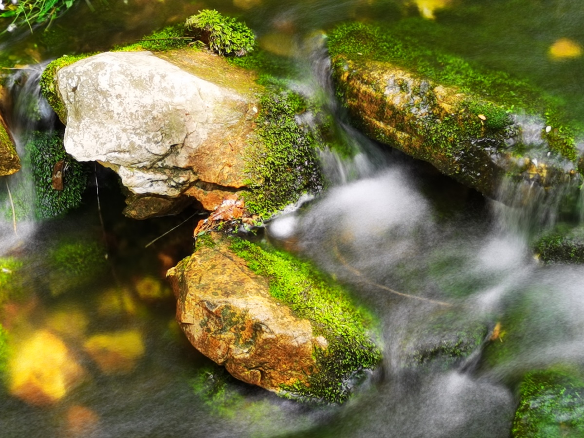 春花溪水绕川涧纱纱溪流淅沥吟山前川后卧龙雨筱竹风吹轻轻印望穿秋水