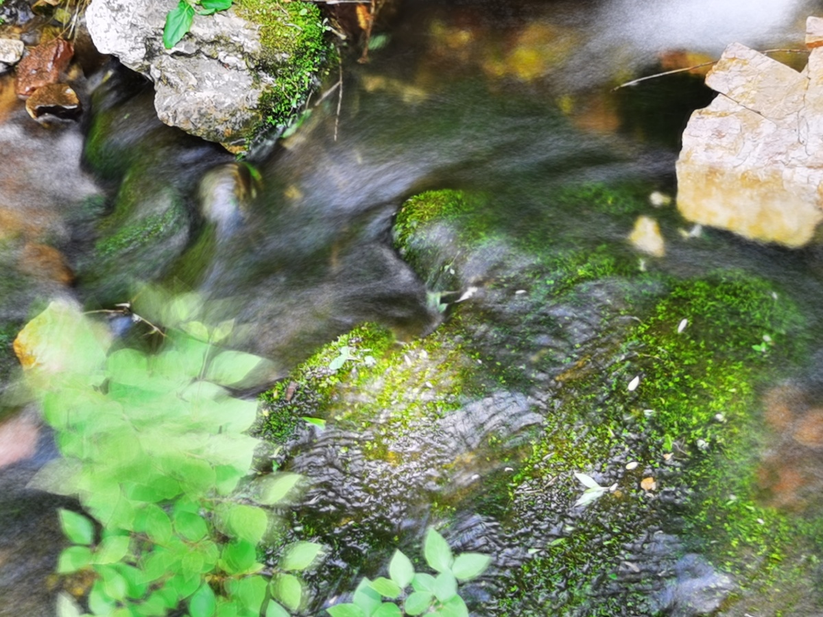 春花溪水绕川涧纱纱溪流淅沥吟山前川后卧龙雨筱竹风吹轻轻印望穿秋水