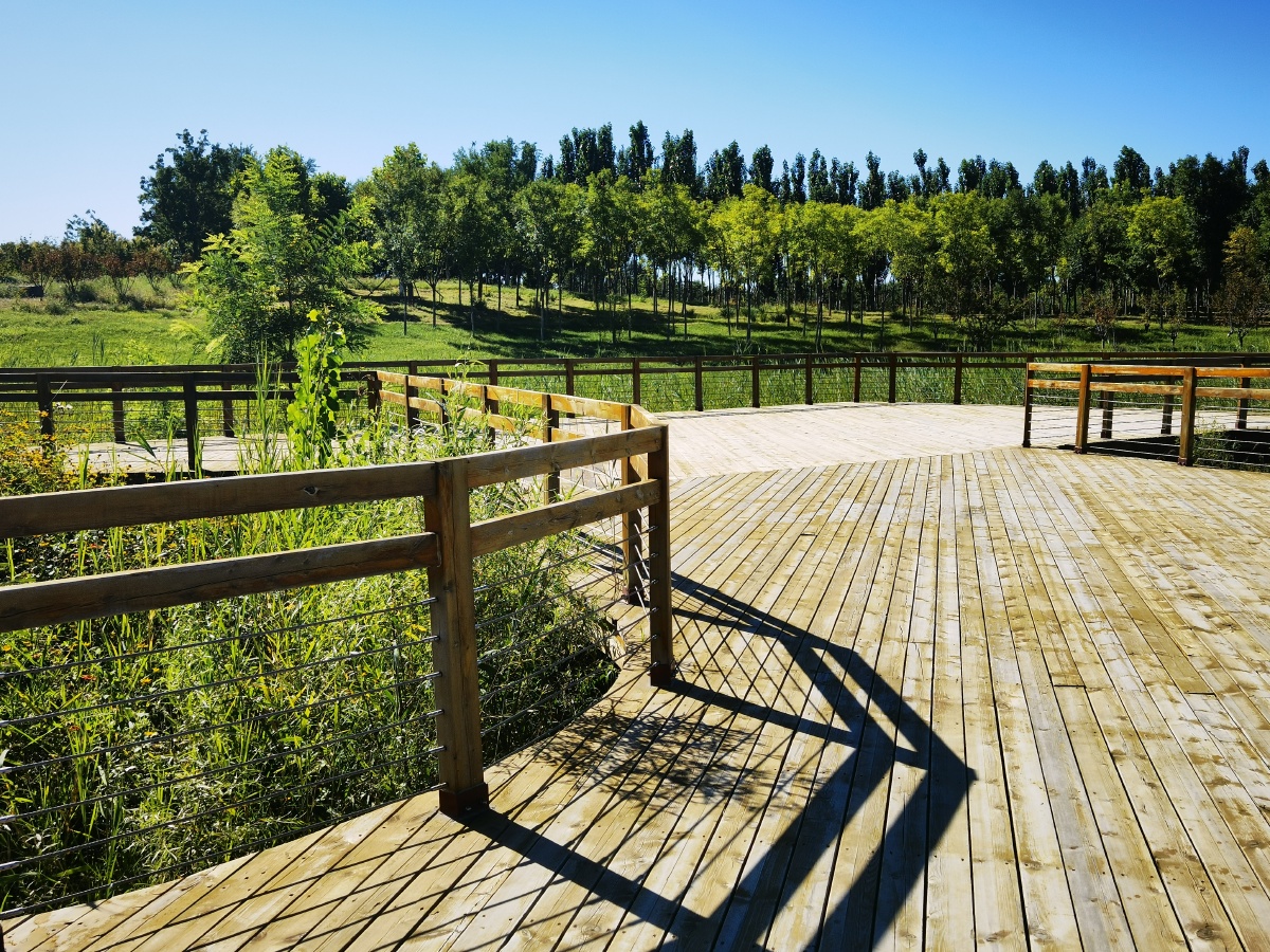 深秋黑桥公园之一 - 摄影人王琼 - 图虫