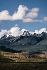 _DSC5354