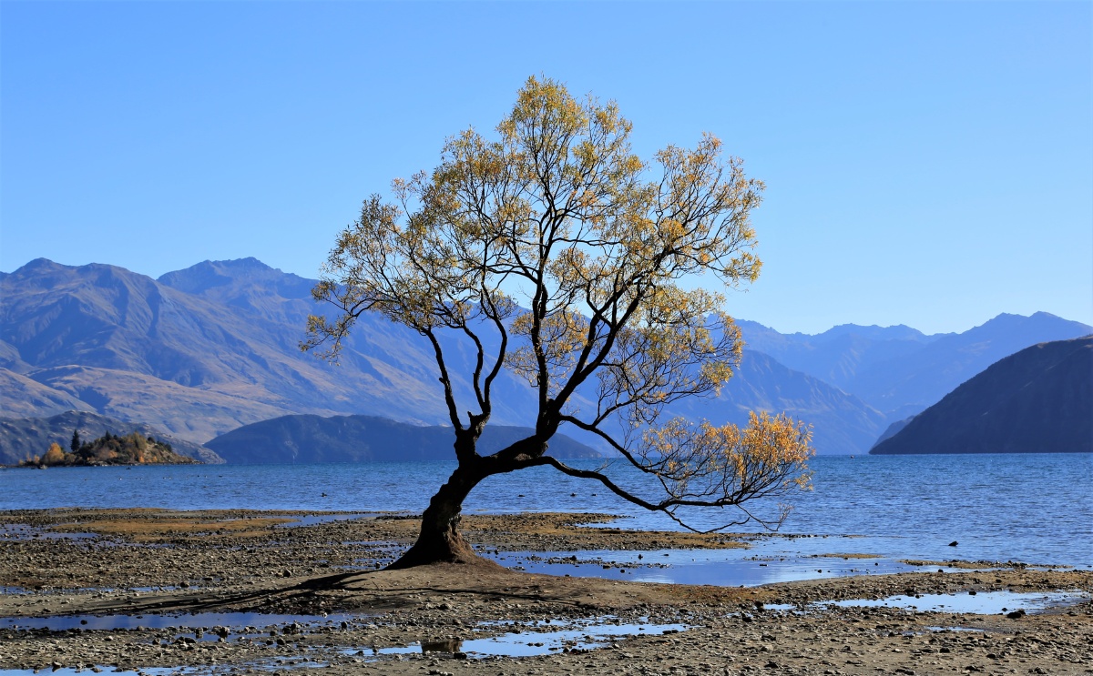 孤独- 刘小宁464 - 图虫网 - 优质摄影师交流社区