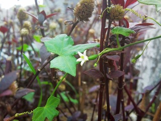 照片0340.jpg
