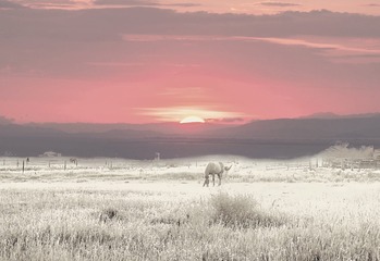88239140-AFAD-4FE2-8C8A-F4EA13144445/L0/001