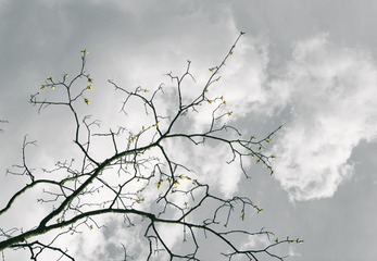 14B4747C-7FA2-4364-A0AB-16C76C1D9402/L0/001
