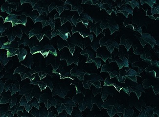 0E8AC043-B5B8-4661-B904-40FE7A5C65F1/L0/001