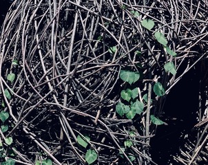 82D192A8-3B4E-48A2-86E6-8B908FB445C3/L0/001
