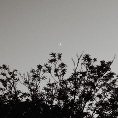 A396B0CC-AC2F-493D-88D9-35E107842A9B/L0/001