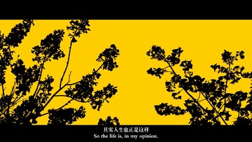 IMG_1955-1