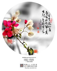 20140105-1-w-S