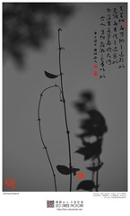 201400205-4-w-s