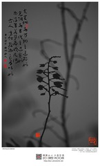 201400205-5-w-s