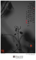 201400205-6-w-s