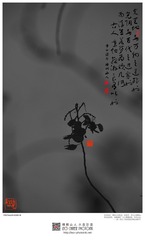 201400205-7-w-s