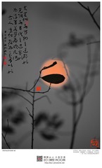 201400205-14-w-s