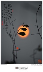 201400205-15-w-s