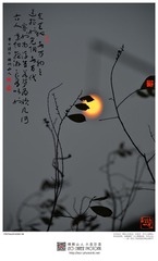 201400205-16-w-s