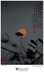 201400205-18-w-s