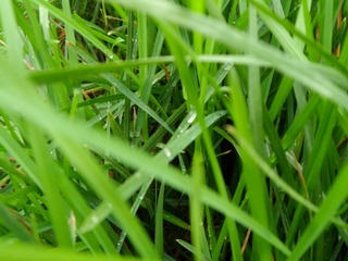 SAM_0030