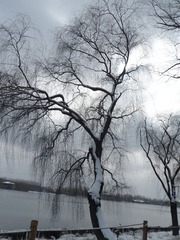 SAM_0771