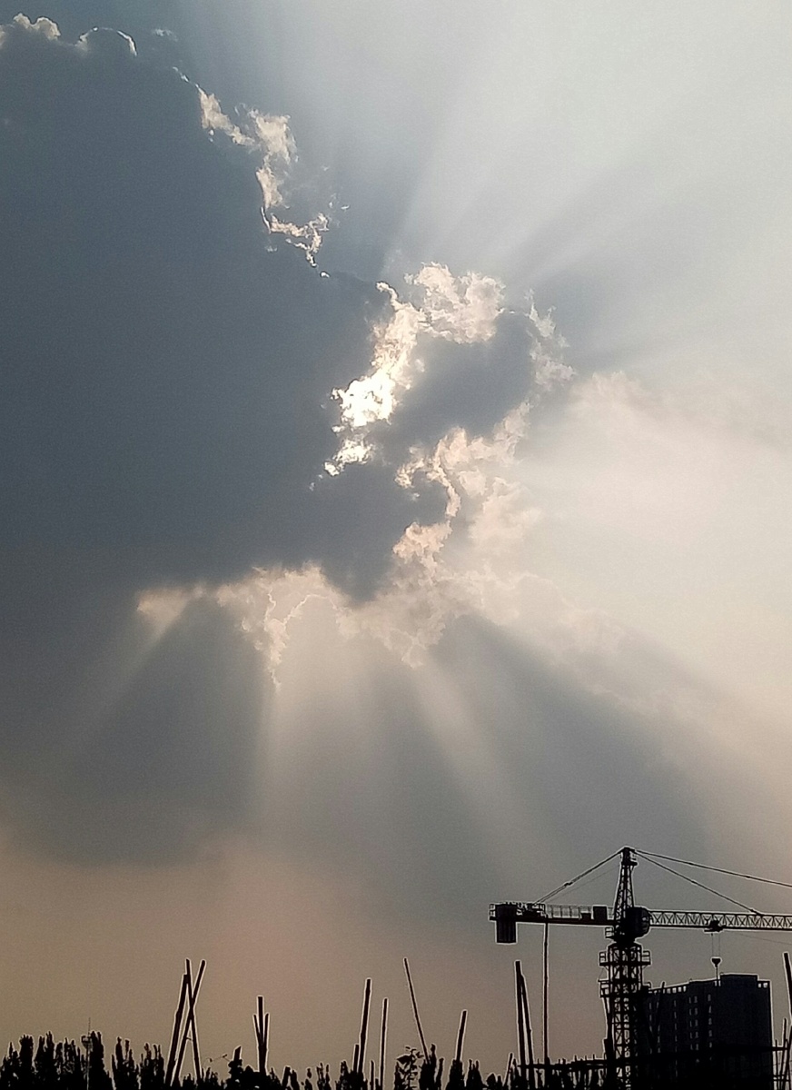 日光- 萝卜缨子 - 图虫网 - 优质摄影师交流社区