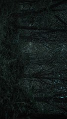 4859496