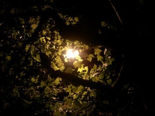 WP_000874