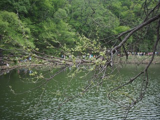 P5010105[1]
