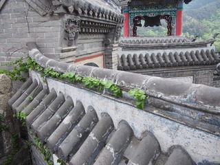 P5010188[1]