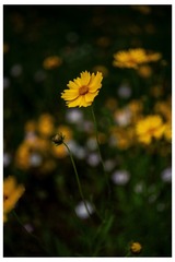 200512