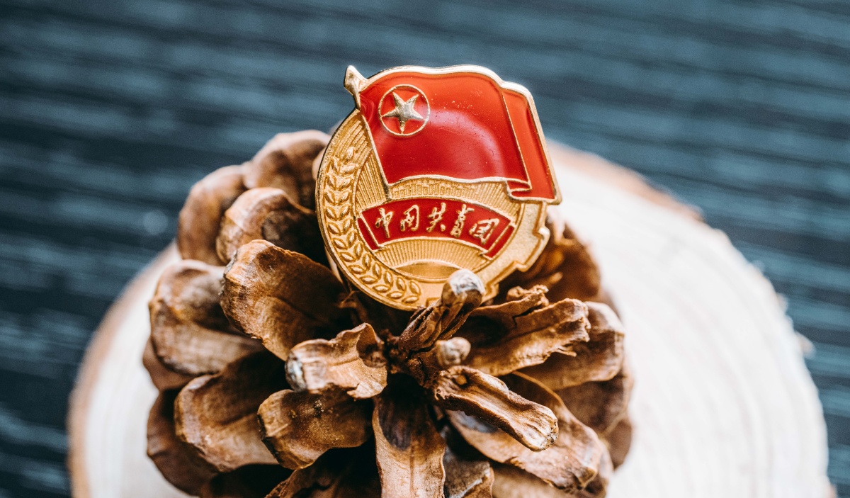 党徽,团徽, - 苏白alan - 图虫