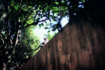 DSC_8606_tuchong