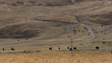 _DSC2939 拷贝