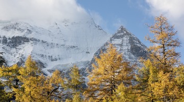 _DSC3761 拷贝