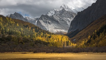_DSC3514 拷贝