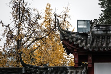 IMG_7964 拷贝