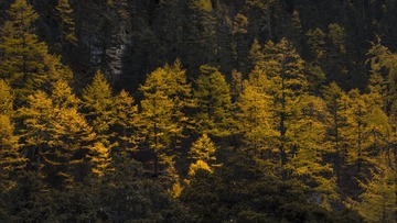 _DSC3437 拷贝