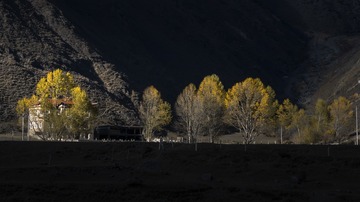 _DSC4346 拷贝