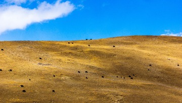 _DSC4284