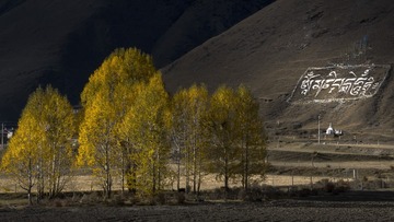 _DSC4336 拷贝
