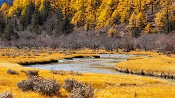 _DSC3861