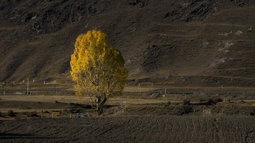 _DSC4338 拷贝