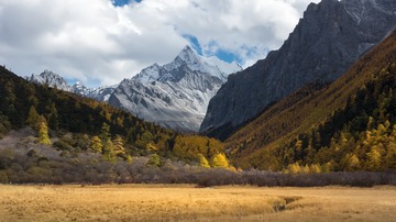 _DSC3542 拷贝