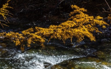 _DSC3802