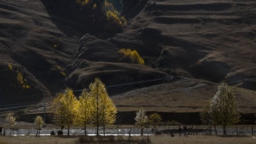 _DSC4330 拷贝